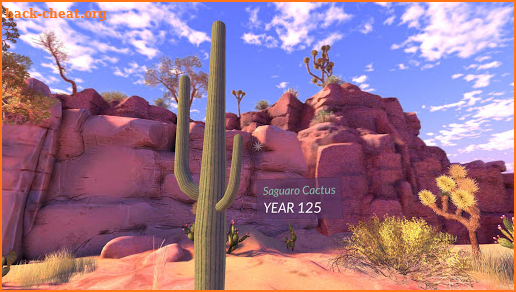 PI VR Wildlife Wonders screenshot