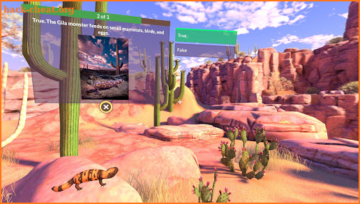 PI VR Wildlife Wonders screenshot