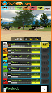 Pick Dog Racing screenshot