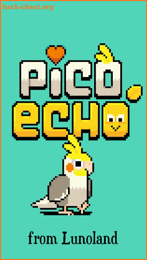 Pico Echo screenshot