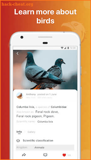 Picture Bird - Bird Identifier screenshot