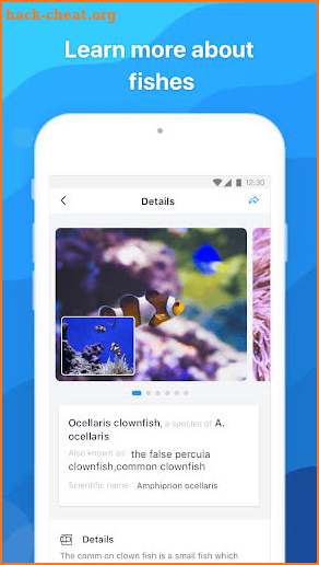 Picture Fish - Fish Identifier screenshot