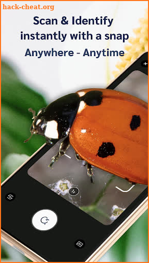 Picture insect: Bug identifier screenshot