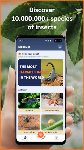 Picture insect: Bug identifier screenshot