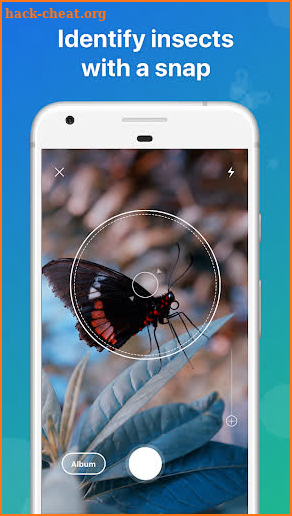 Picture Insect - Insect Id Pro screenshot