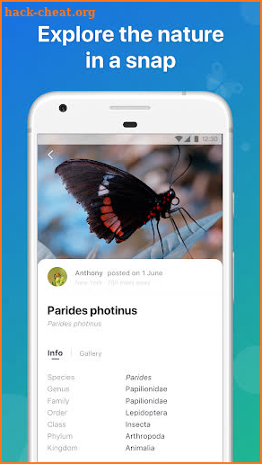 Picture Insect - Insect Id Pro screenshot