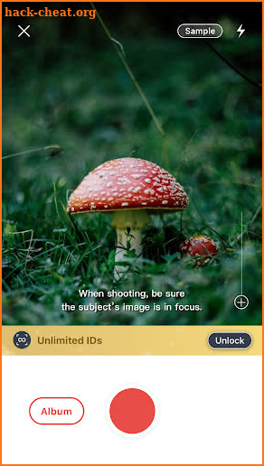 Picture Mushroom - Mushroom ID screenshot