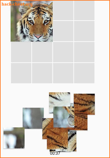 Picture Puzzle - Animals screenshot
