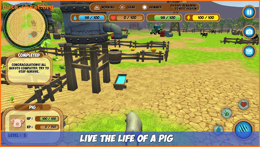 Pig Simulator screenshot