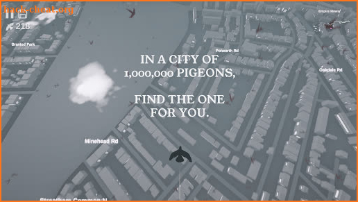 Pigeon: A Love Story screenshot