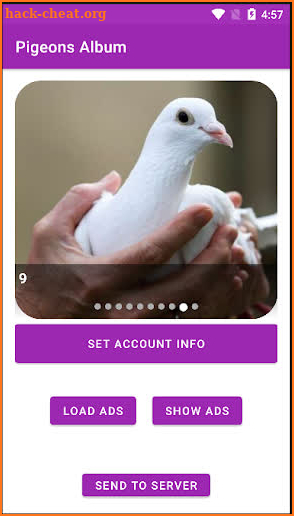 Pigeons Album screenshot