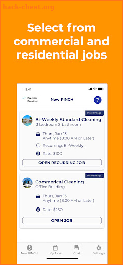 Pinch Job - for Cleaners screenshot