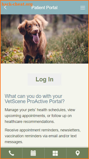 Pine Meadow Veterinary Clinic screenshot