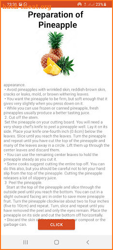 Pineapple App screenshot