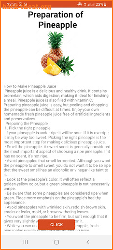 Pineapple App screenshot
