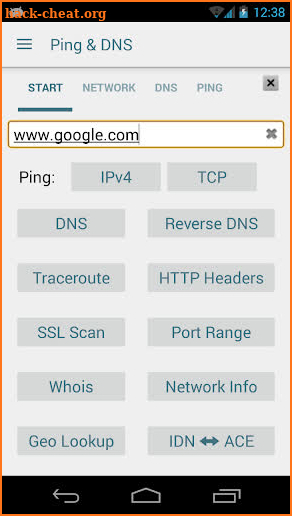 Ping & Net screenshot