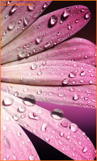 Pink Images Wallpapers screenshot
