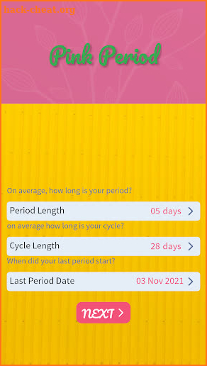 Pink Period screenshot