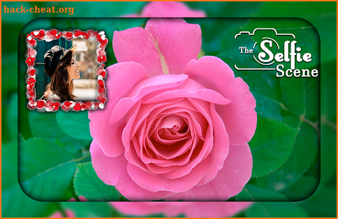 Pink Rose Photo Frames screenshot