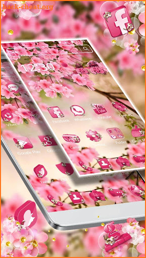 Pink Summer Flower Theme screenshot