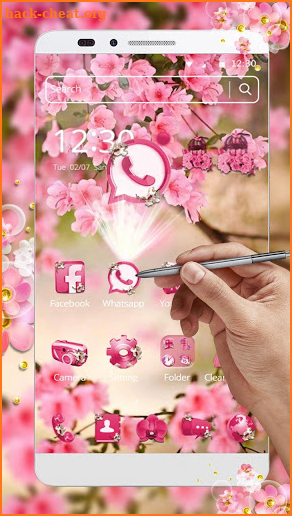 Pink Summer Flower Theme screenshot