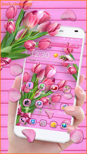 Pink Tulip Flower Theme screenshot