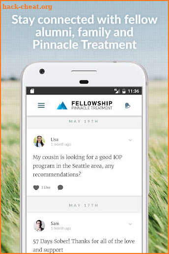 Pinnacle Treatment Fellowship screenshot