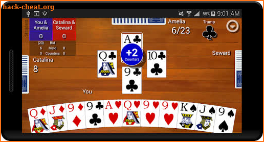 Pinochle Classic screenshot