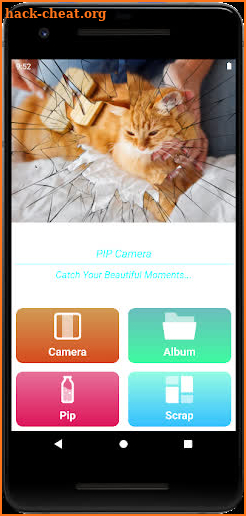 Pip Camera screenshot