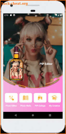PIP Editor Image screenshot