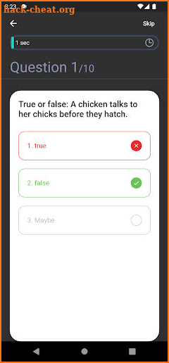 Pisa Quiz screenshot
