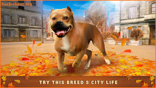 Pitbull Dog Simulator Fighting 3D screenshot