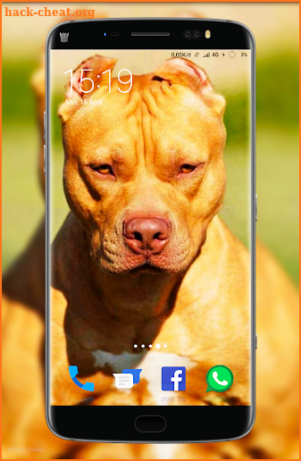 Pitbull Wallpaper screenshot