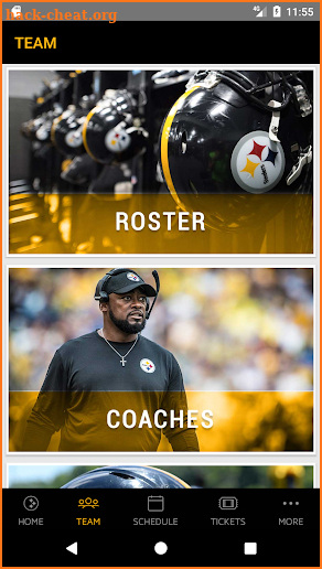 Pittsburgh Steelers screenshot