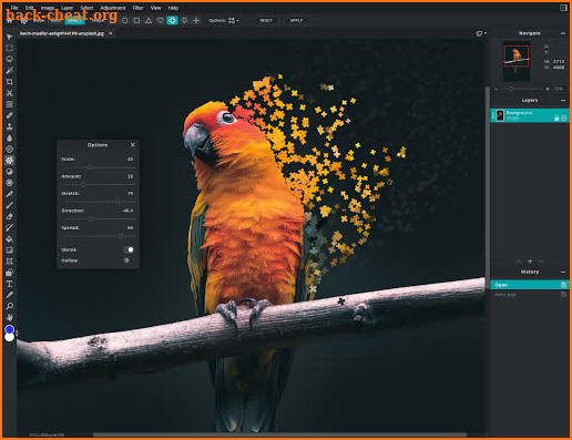 Pixlr E  Design / Photo Editor screenshot