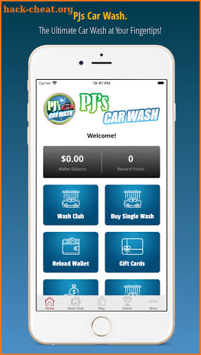 PJ's Car Wash screenshot