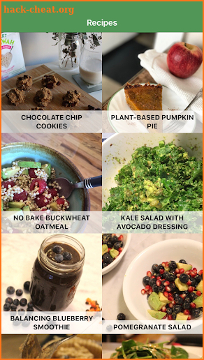 Plant-Based Recipes screenshot