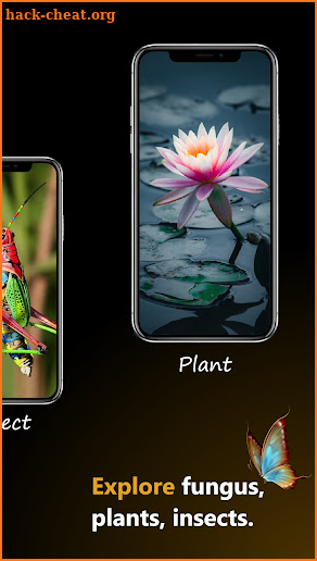 Plant, Bug, Fungus -Identifier screenshot