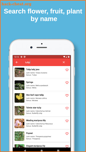 plant finder: plant, flower, fruit identification screenshot