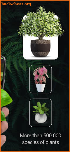 Plant ID - Plant Identification - PictureThis screenshot
