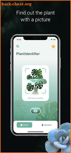 Plant ID - Plant Identification - PictureThis screenshot