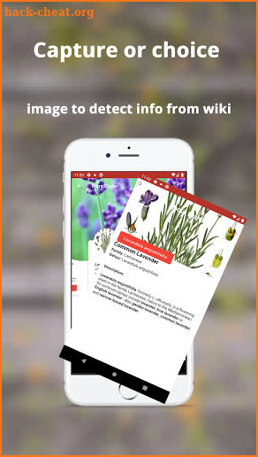 Plant ID: plant, tree, flower identification screenshot