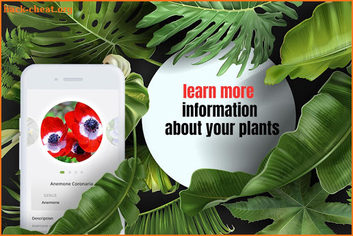 Plant Identification, Mushroom Identifier Apps screenshot