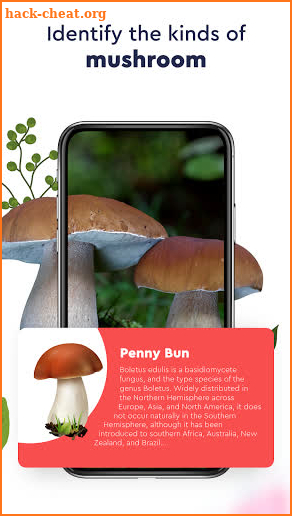 Plant Identification: Mushroom Identifier, Weather screenshot