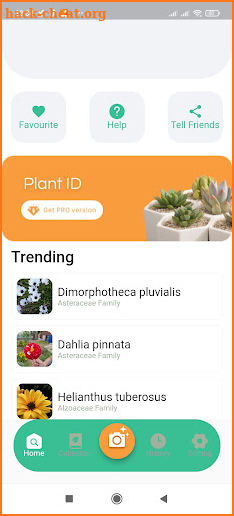 Plant Identification - Plant Identifier App screenshot