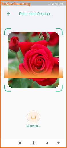 Plant Identification - Plant Identifier App screenshot