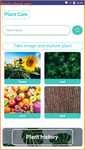 Plant Identification - Plant, Leaf, Flower screenshot