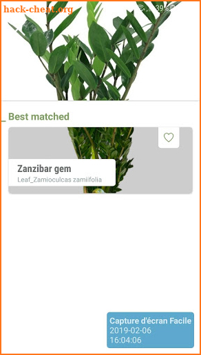 plant identification plantnet screenshot