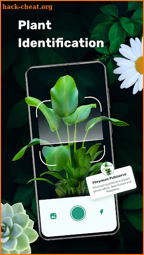 Plant Identifier - Identity Plant, Flower, Trees screenshot