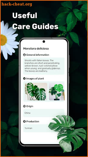 Plant Identifier - Identity Plant, Flower, Trees screenshot